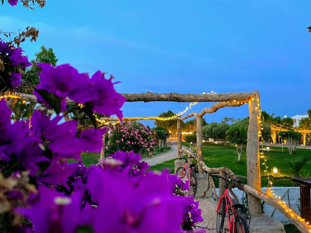 Eco Beach And Magic Garden Hotel 겐나디 외부 사진