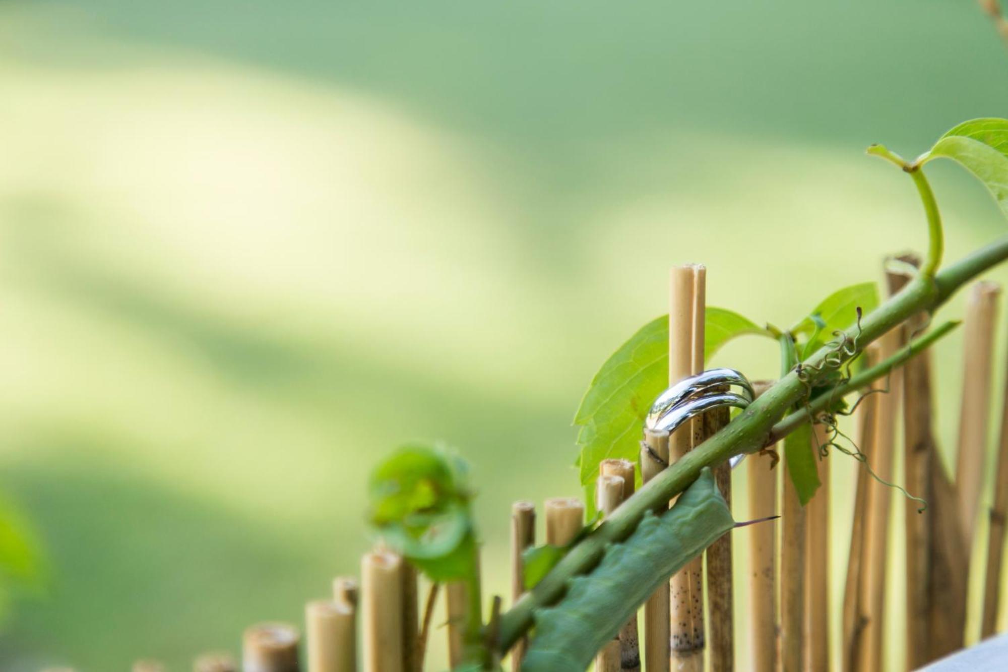 Eco Beach And Magic Garden Hotel 겐나디 외부 사진
